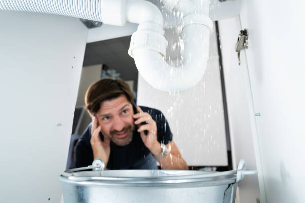 Best Septic Systems  in Foreman, AR