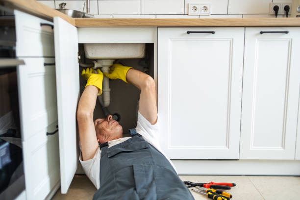 Best Plumbing Services Near Me  in Foreman, AR