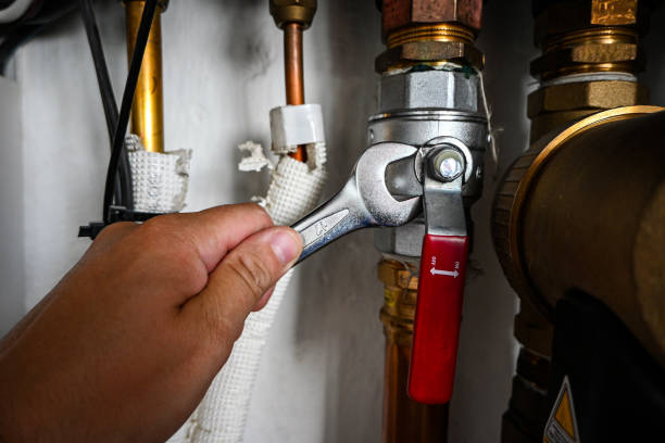 Best Same-Day Plumbing Service  in Foreman, AR